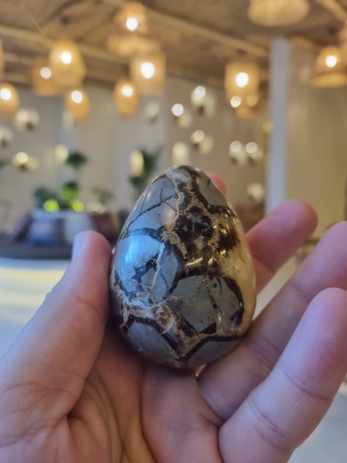 Septeryan 230gr Ham Taş