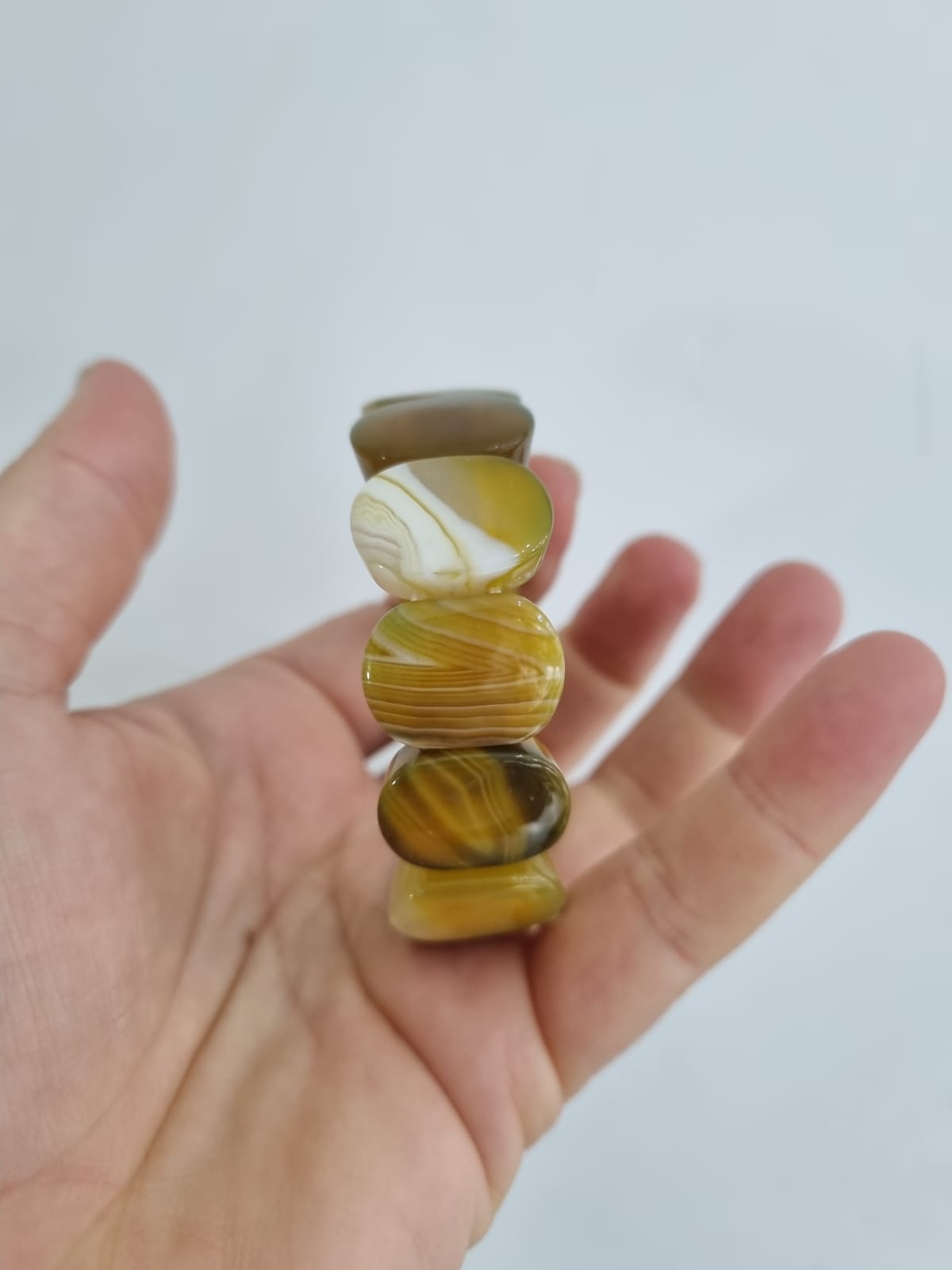 Sarı Akik Dalmaçyalı