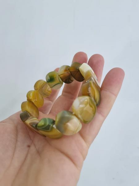 Sarı Akik Dalmaçyalı