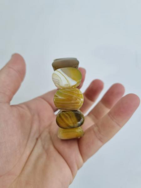 Sarı Akik Dalmaçyalı